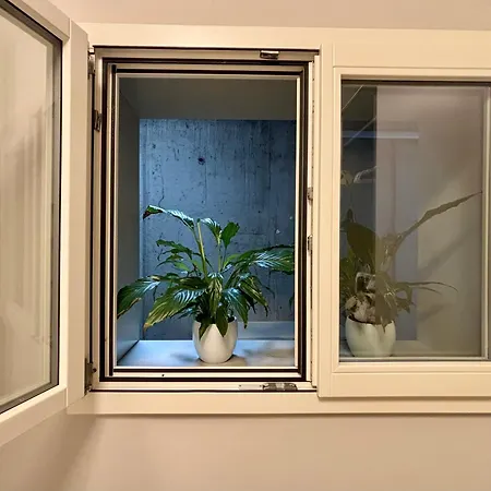 Luna At Dorato, Luxury Colico